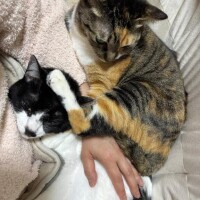 誤字脱字すみませんっ( ´?ω?` )