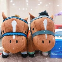 今週の予定変更