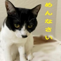 すみません?お休みです