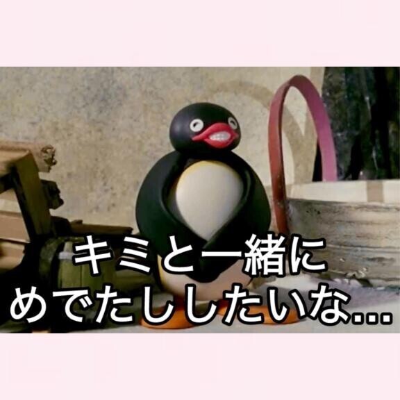 ごほうしぺっと??