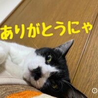 今日もありがとう(*´?`*) ?ゅ?