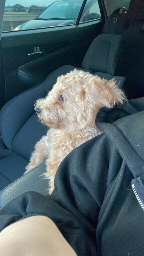 たいきんっ！！