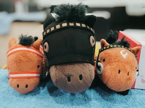 この子たちがお迎え?