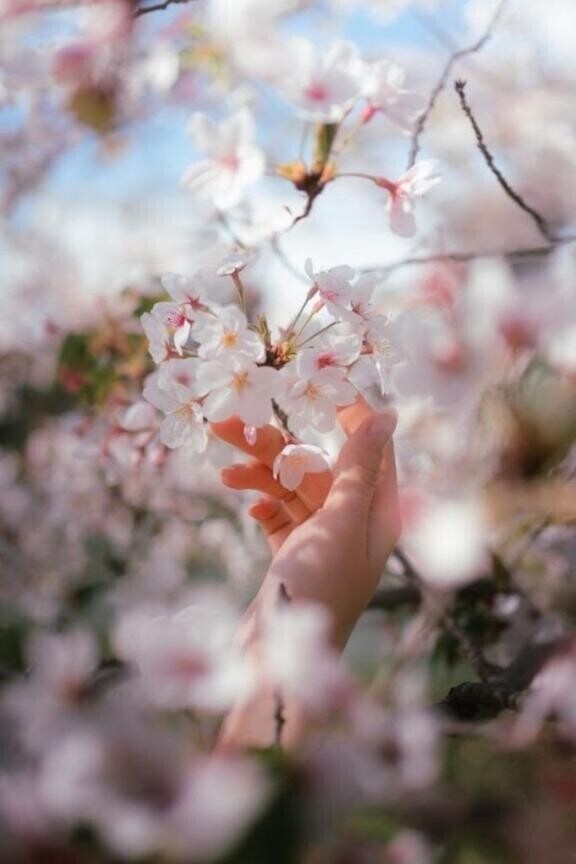 春の陽だまり見つけました?