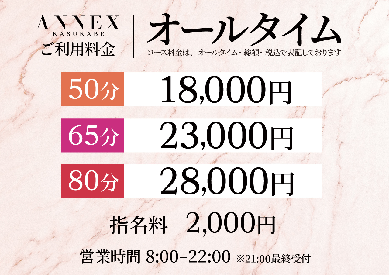 アネックス(ANNEX)の料金表
