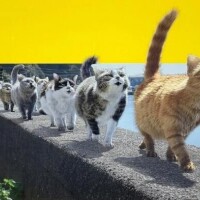 遊びに🤗