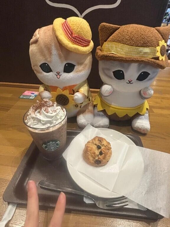 リフレッシュ
