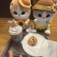リフレッシュ