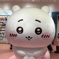 おはようございます☁️