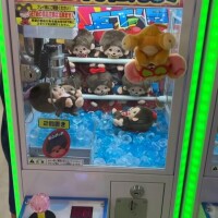 みるく