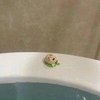 ゆず
