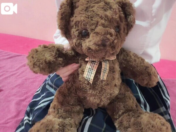 🧸