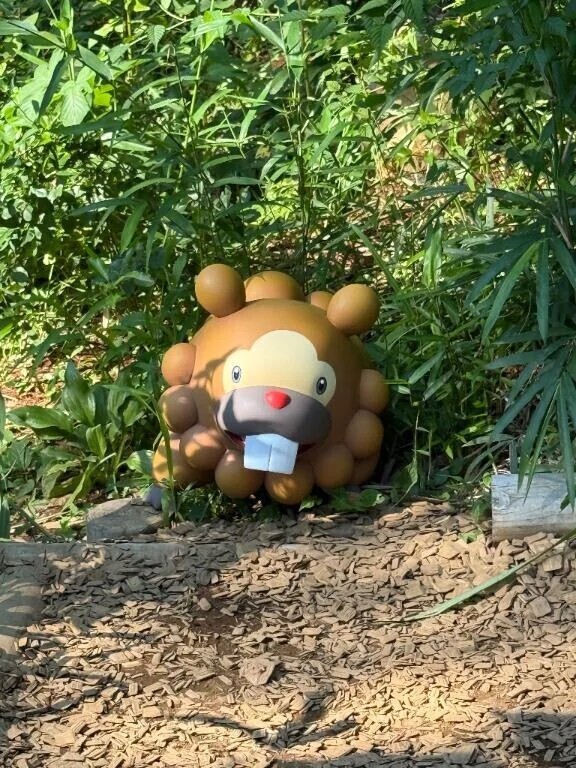 今日もありがとうございました🌙