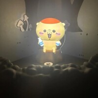 予定