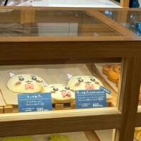 おはようございます☀️