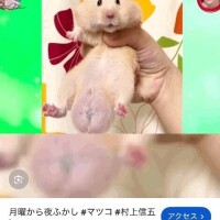 よくわからない欲望
