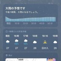 今天気悪いです☔️