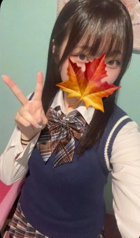 本日🍀* ゚