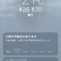 おはようございます💛