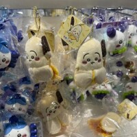 露骨なそんなおまえがほしい