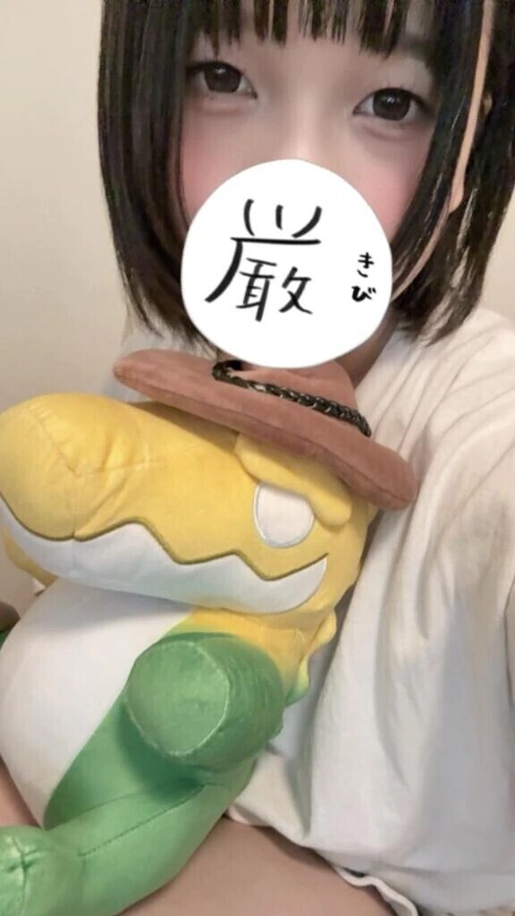 🐸🐱
