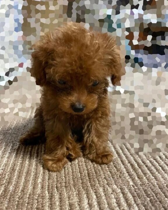 長文だけど読んでくれたら嬉しいな🥺