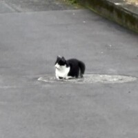 おんぷ