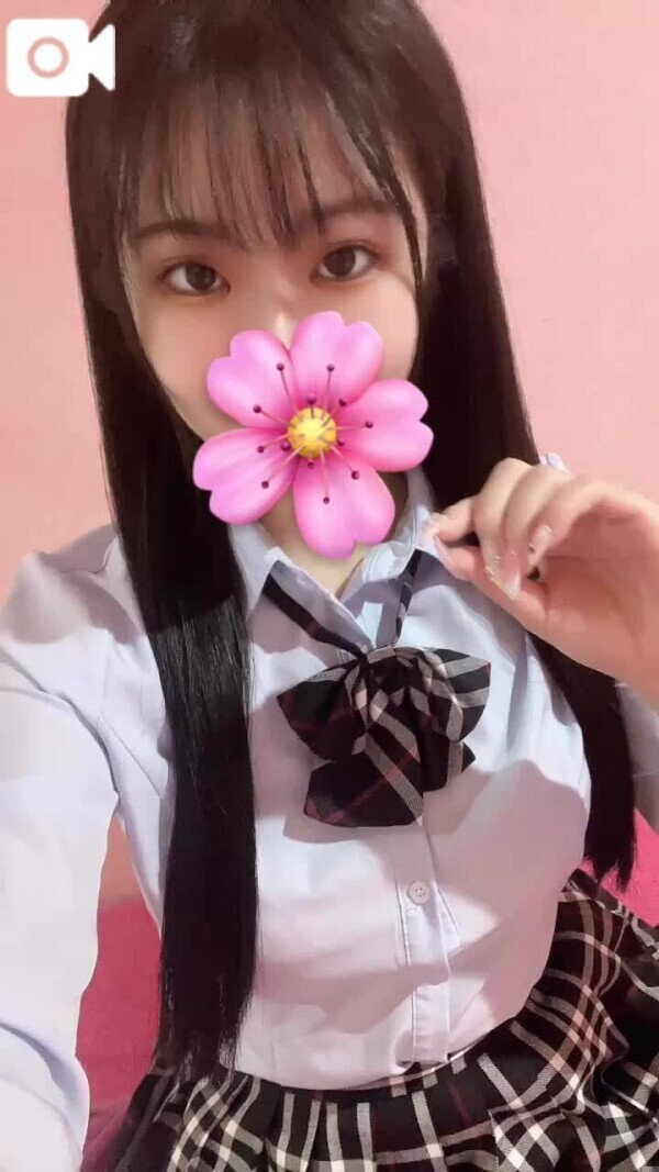 本日のさくら🌸
