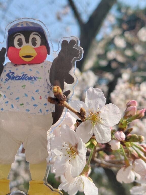 春のぬくもり、届けるよ☀️