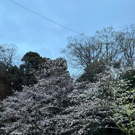 見て〜！