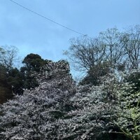 見て〜！