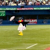 あみからの元気届けます💖