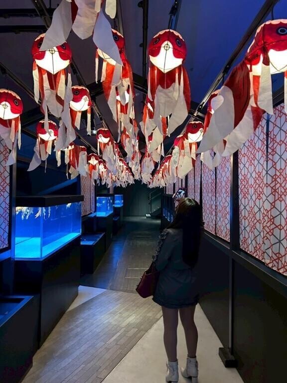 金魚ロード🐟❤️③