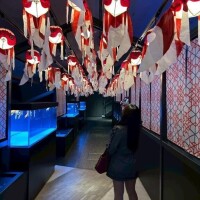 金魚ロード🐟❤️③