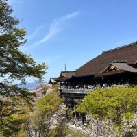 〇〇日和🌸
