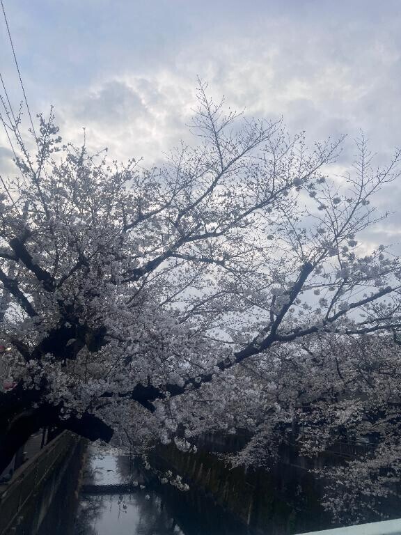 🈳残り少し🥹