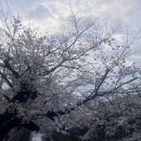 🈳残り少し🥹