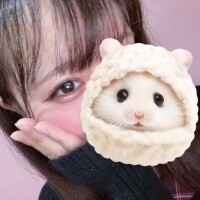 🎀お礼🎀