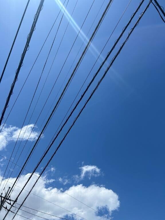 いい天気☀️.°