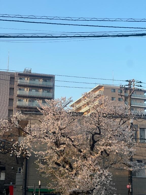 次回🈳