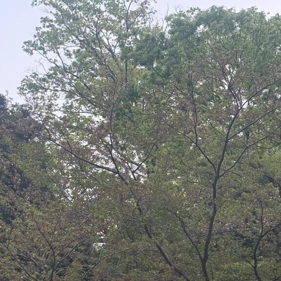 🌱🌱🌱