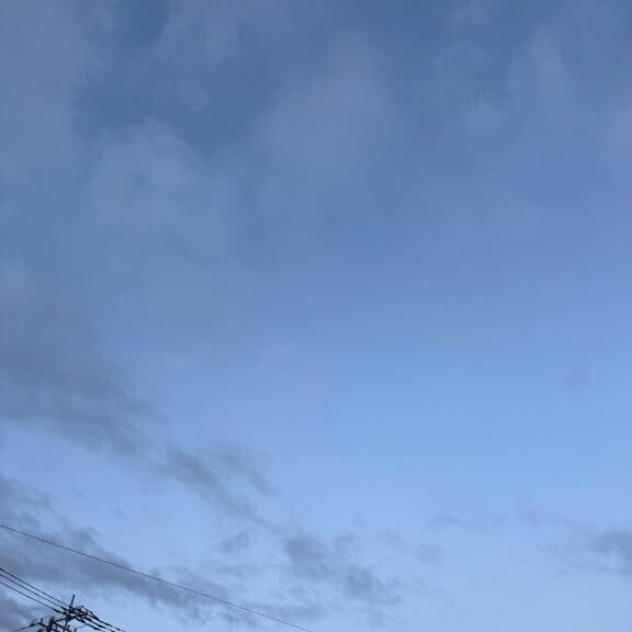 やた！