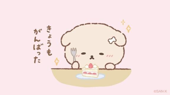 次23日ねん！