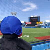 ねぇ、今日も会えるかな☀️