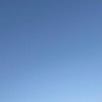 しおん