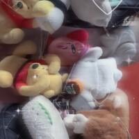 大量のぬいぐるみ🧸