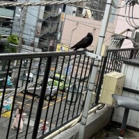 おはよっ☀️今日から○○‼️