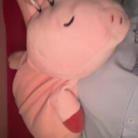🐷