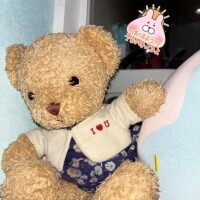 🐻