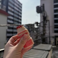 おはよっ☀️🌱